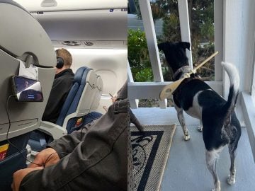 užitočné lifehacky