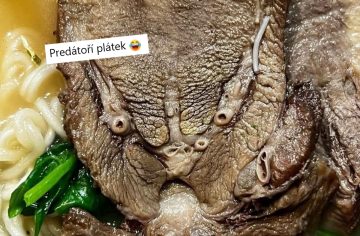 Dnes uvarím, zajtra sedím na WC. V tejto českej skupine sa zdieľajú šmaky, z ktorých ťa až napne