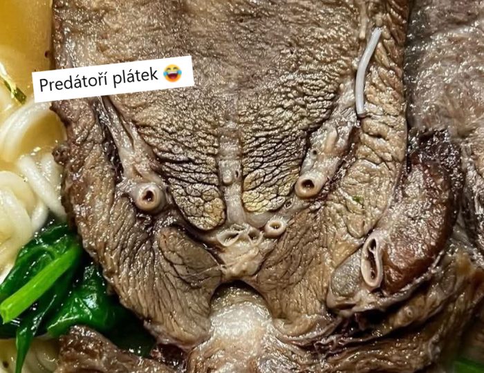 Dnes uvarím, zajtra sedím na WC. V tejto českej skupine sa zdieľajú šmaky, z ktorých ťa až napne