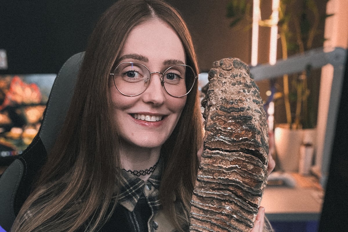 paleontomonička rozhovor premium dinosaury