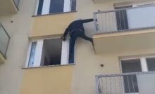 polícia senica interpol hľadaný muž kuriozita slovensko