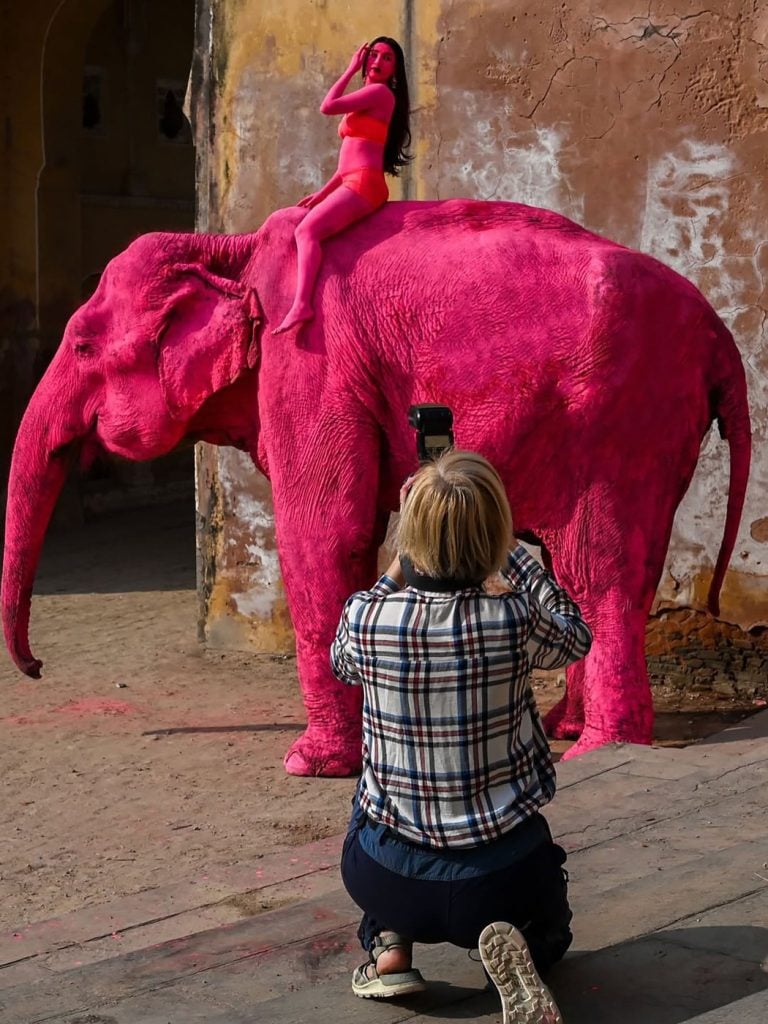Veľké pobúrenie na sociálnych sieťach vyvolalo úmrtie indického slona, ktorého ruská fotografka zafarbila počas fotenia.