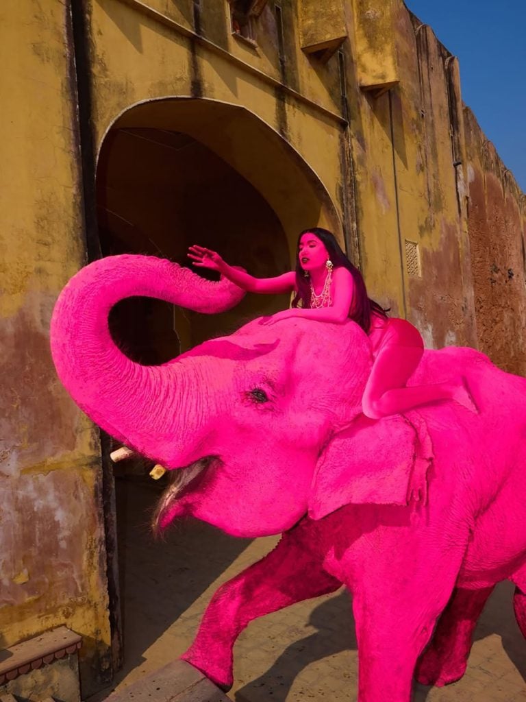 Veľké pobúrenie na sociálnych sieťach vyvolalo úmrtie indického slona, ktorého ruská fotografka zafarbila počas fotenia.