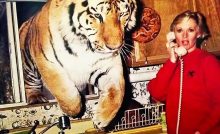 roar najnebezpečnejší film šelmy tigre levy filmy premium