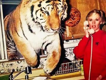 roar najnebezpečnejší film šelmy tigre levy filmy premium