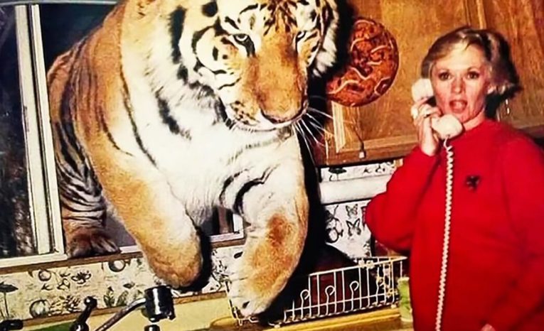 roar najnebezpečnejší film šelmy tigre levy filmy premium