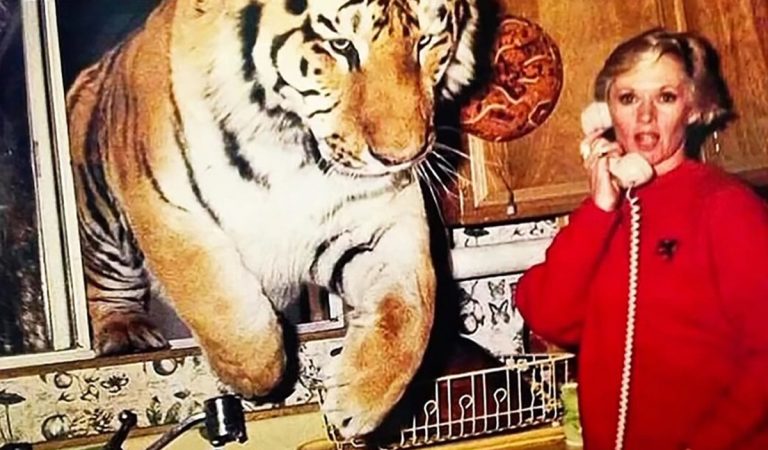 roar najnebezpečnejší film šelmy tigre levy filmy premium