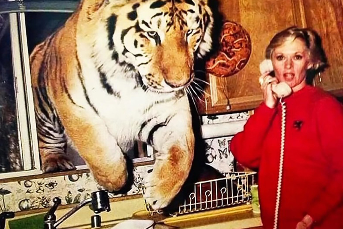 roar najnebezpečnejší film šelmy tigre levy filmy premium