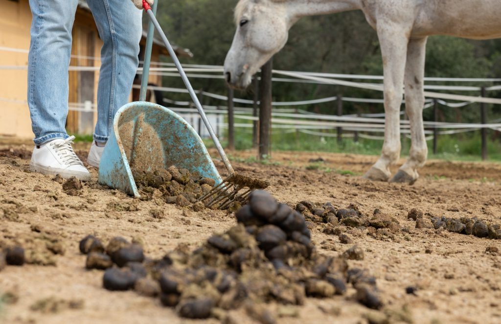 Čo ak nastane kritický nedostatok pohonných hmôt? Pripravili sme prehľad ako by to vyzeralo, ak by na Slovensku autá nahradili kone.