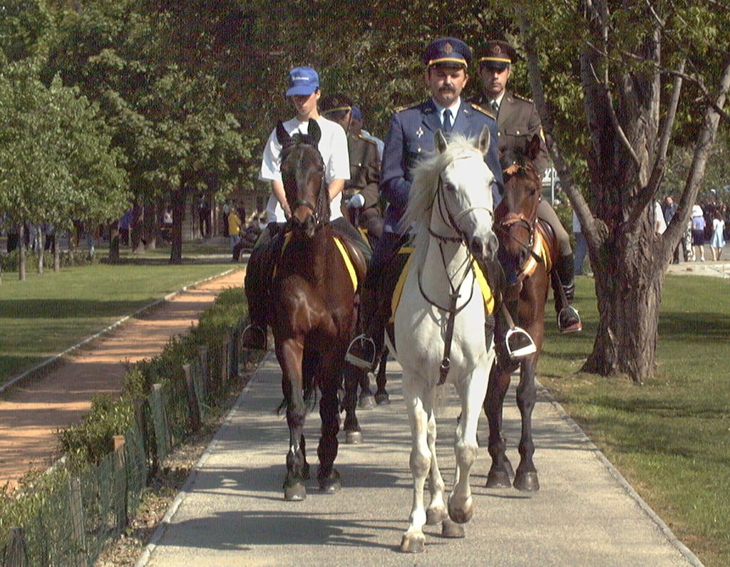 Ako by to vyzeralo, ak by všetci na Slovensku vymenili autá za kone? Na toto sa musíš pripraviť, keď chceš jedného vlastniť