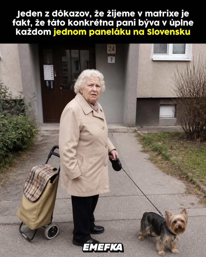 Prinášame ti ďalšiu epizódu seriálu 10 najlepších memes uplynulého týždňa. Minulotýždňové zhrnutie memes z produkcie EMEFKA je tu.