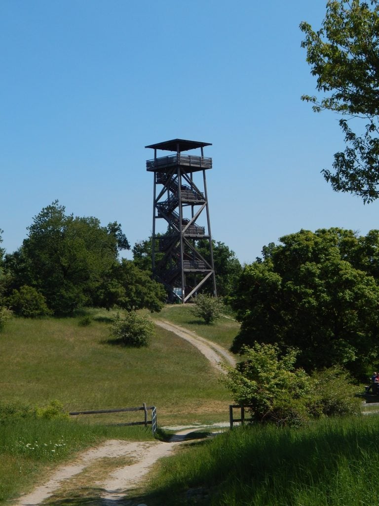 Kúsok za rakúskou hranicou sa pri obci Berg nachádza vyhliadková veža Königswarte, z ktorej je Bratislava ako na dlani.