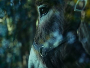 filmy o zvieratách zvieratá netradičné filmy eo