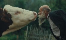 oceňované slovenské filmy film slovensko kinematografia