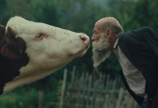 oceňované slovenské filmy film slovensko kinematografia