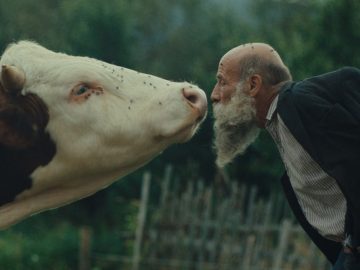 oceňované slovenské filmy film slovensko kinematografia