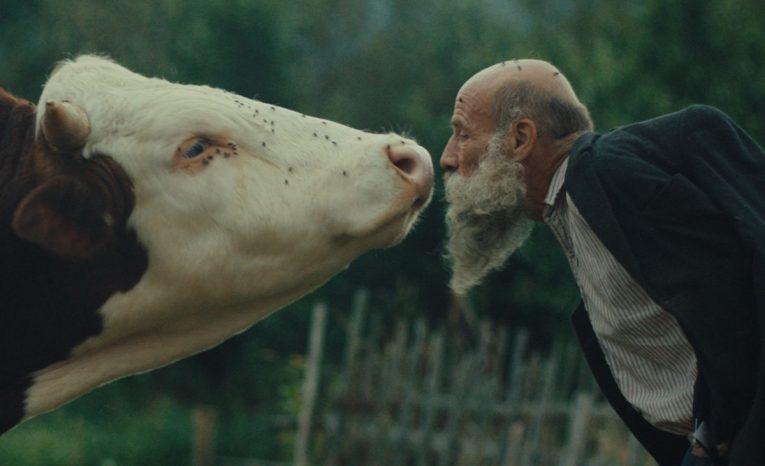 oceňované slovenské filmy film slovensko kinematografia