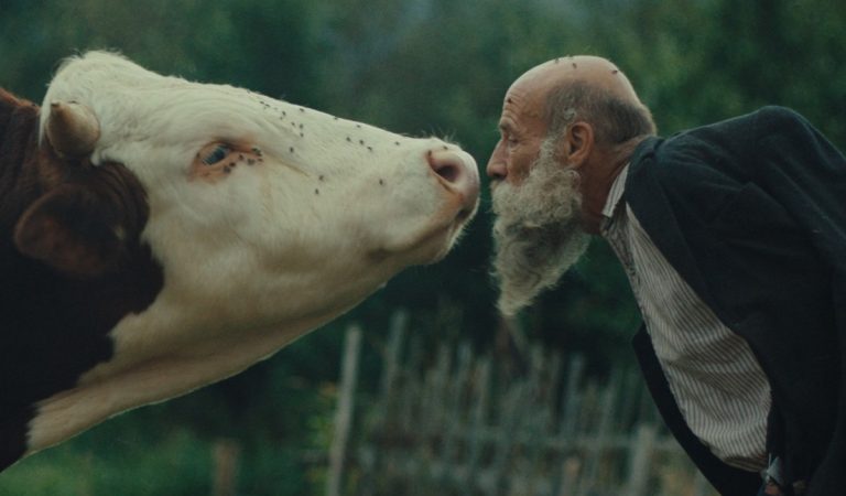 oceňované slovenské filmy film slovensko kinematografia