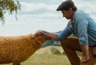 Ovce na stope, filmy, komédia, kino program, slovenské kino, kino premiéra, filmová novinka