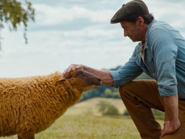 Ovce na stope, filmy, komédia, kino program, slovenské kino, kino premiéra, filmová novinka