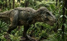 tyranosaurus rúčky malé ruky tlama odhalenie veda dinosaury