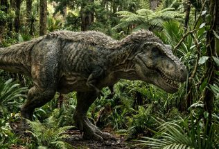 tyranosaurus rúčky malé ruky tlama odhalenie veda dinosaury