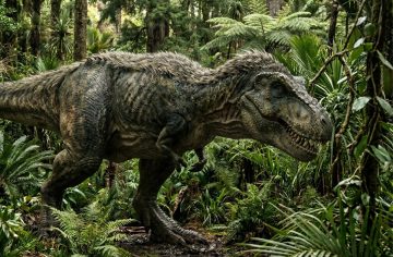 Najdôležitejšia otázka všetkých čias bola zodpovedaná: Prečo mal tyranosaurus také malé ručičky?