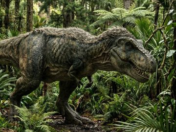 tyranosaurus rúčky malé ruky tlama odhalenie veda dinosaury