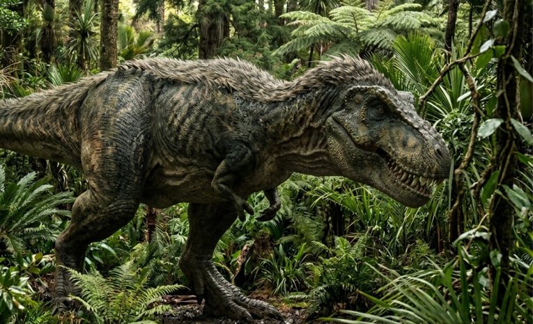 tyranosaurus rúčky malé ruky tlama odhalenie veda dinosaury