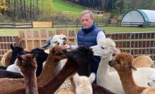 vlado voštinár oliwa peniaze financie veľký balík