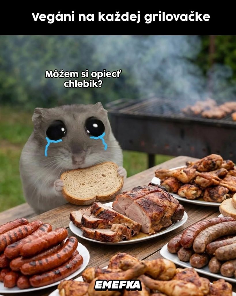 Prinášame ti ďalšiu epizódu seriálu 10 najlepších memes uplynulého týždňa. Minulotýždňové zhrnutie memes z produkcie EMEFKA je tu.