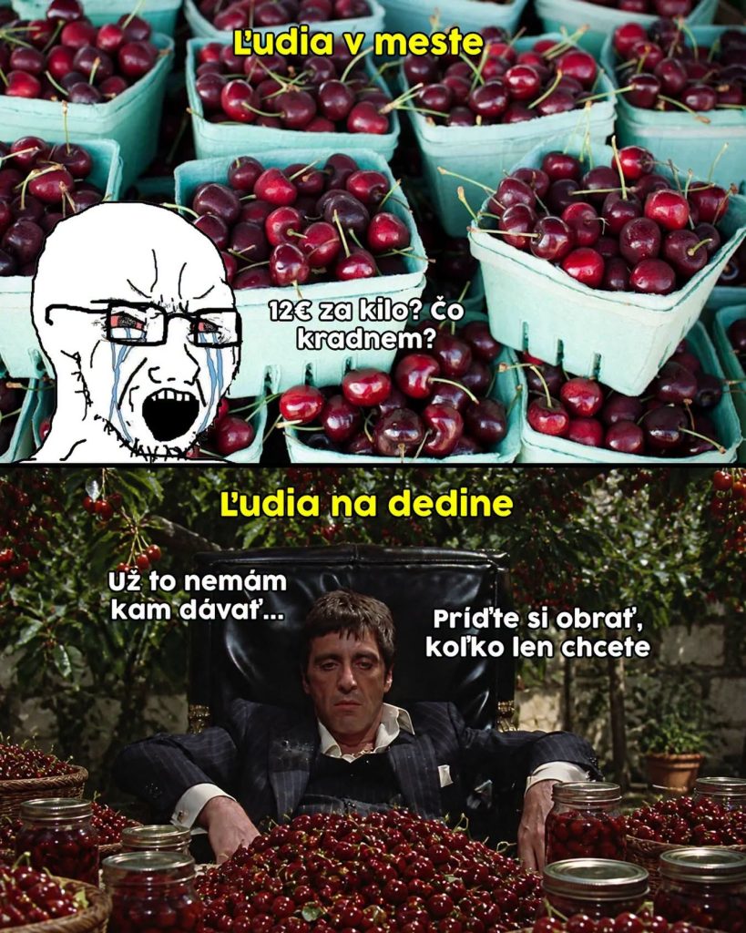 Prinášame ti ďalšiu epizódu seriálu 10 najlepších memes uplynulého týždňa. Minulotýždňové zhrnutie memes z produkcie EMEFKA je tu.