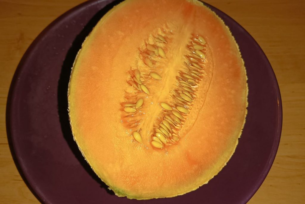 Navštívili sme bratislavský lepší zelovoc: Za cukrový melón sme zaplatili vyše 11 eur. Stál za tie peniaze?