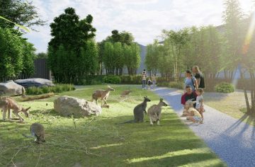 Slovensko bude mať svoju piatu zoo: Zo schátraného družstva sa stane zvieracie kráľovstvo