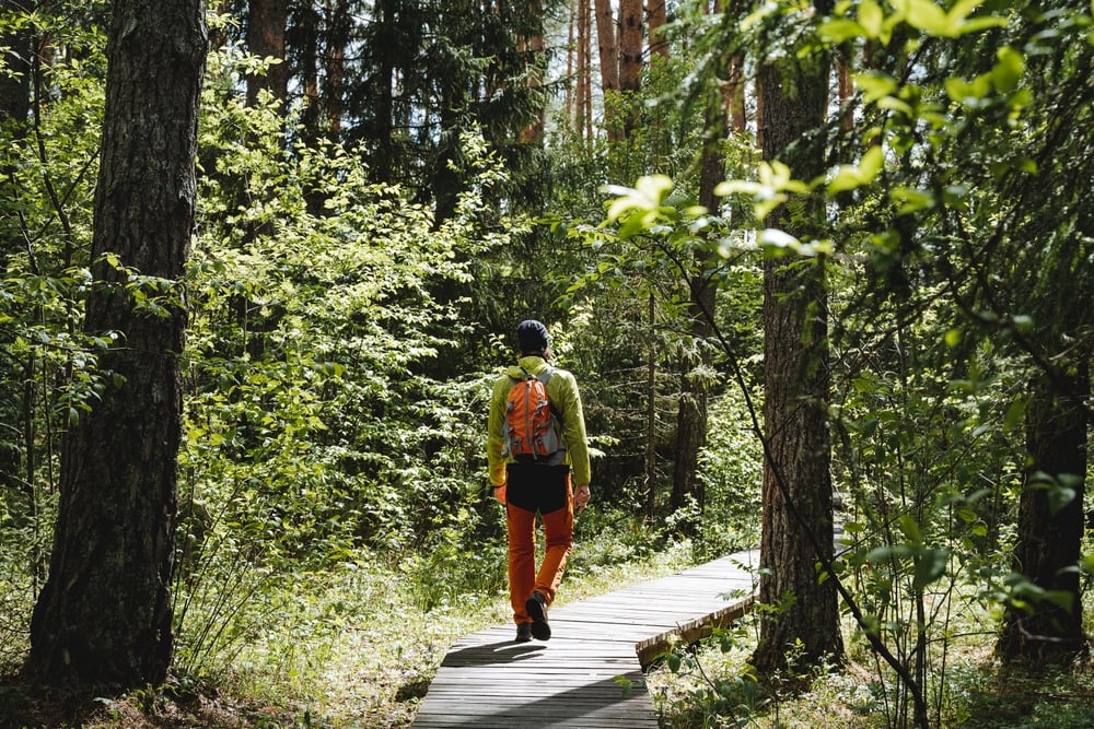 výskum veľká fatra