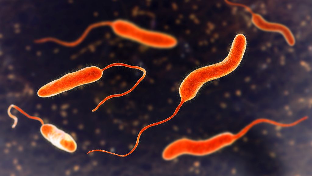 Mäsožravá baktéria Vibrio ohrozuje turistickú sezónu v stredomorskom regióne. Niektoré navštevované pláže museli uzatvoriť.