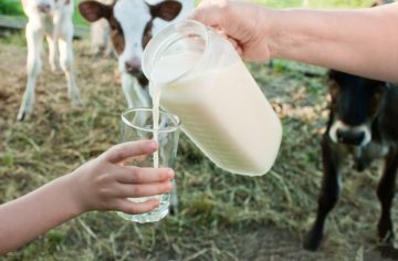 Pozor, v chladničke môžeš mať nebezpečný vírus. Objavili ho v obľúbenom produkte Slovákov