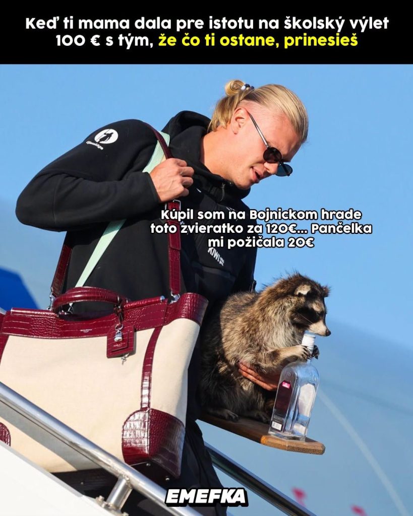 Prinášame ti ďalšiu epizódu seriálu 10 najlepších memes uplynulého týždňa. Minulotýždňové zhrnutie memes z produkcie EMEFKA je tu.