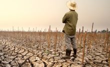 globálne otepľovanie el nino zdražovanie katastrofa