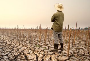globálne otepľovanie el nino zdražovanie katastrofa