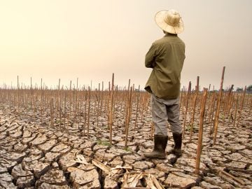 globálne otepľovanie el nino zdražovanie katastrofa