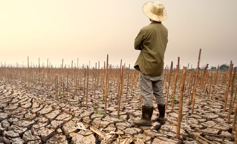 globálne otepľovanie el nino zdražovanie katastrofa