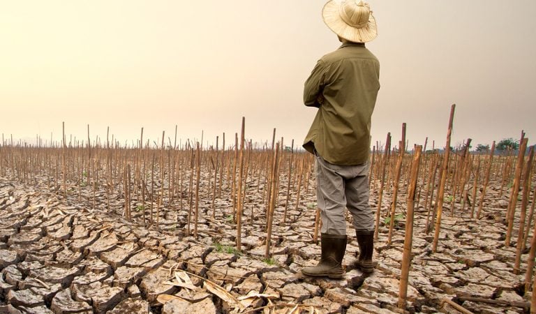 globálne otepľovanie el nino zdražovanie katastrofa