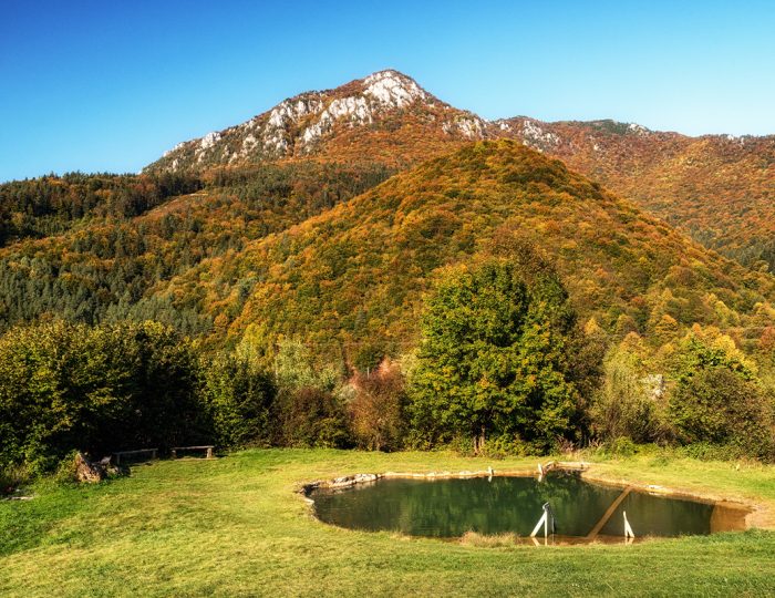 Má odpudivý názov, no čarovnú vodu. Nenápadné slovenské jazierko ponúka kúpanie, aké si ešte nezažil