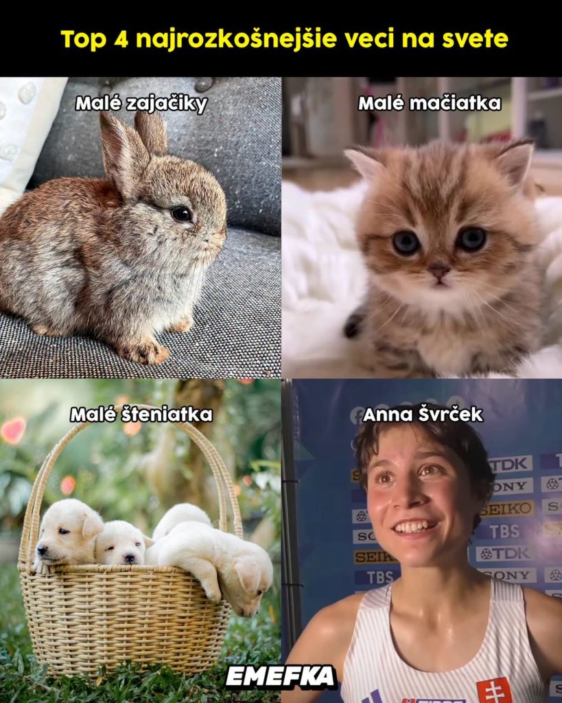 Prinášame ti ďalšiu epizódu seriálu 10 najlepších memes uplynulého týždňa. Minulotýždňové zhrnutie memes z produkcie EMEFKA je tu.