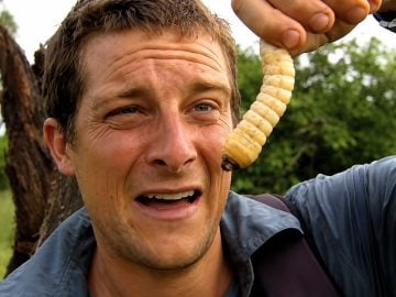 bear grylls mäso vegánstvo jedlo