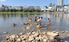 dunaj vyschnutý bratislava staré lido mamut