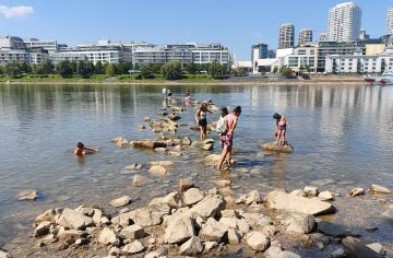 V Bulharsku našli mamuta, my sme objavili trón kráľa Dunaja: Nový bratislavský park ťa zavedie k rieke, ktorú mení rekordné sucho