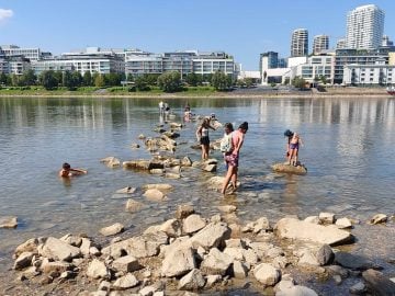 dunaj vyschnutý bratislava staré lido mamut