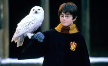 harry potter kameň mudrcov premietanie výročie